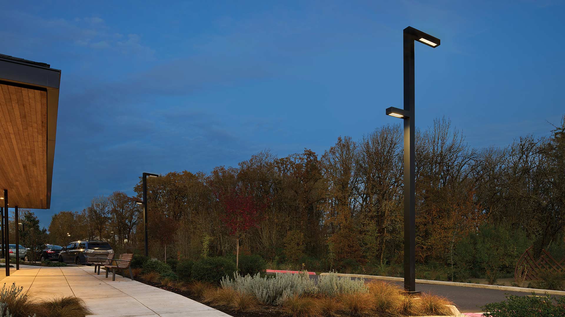 photo-gallery-residential-broadleaf-arbor-15