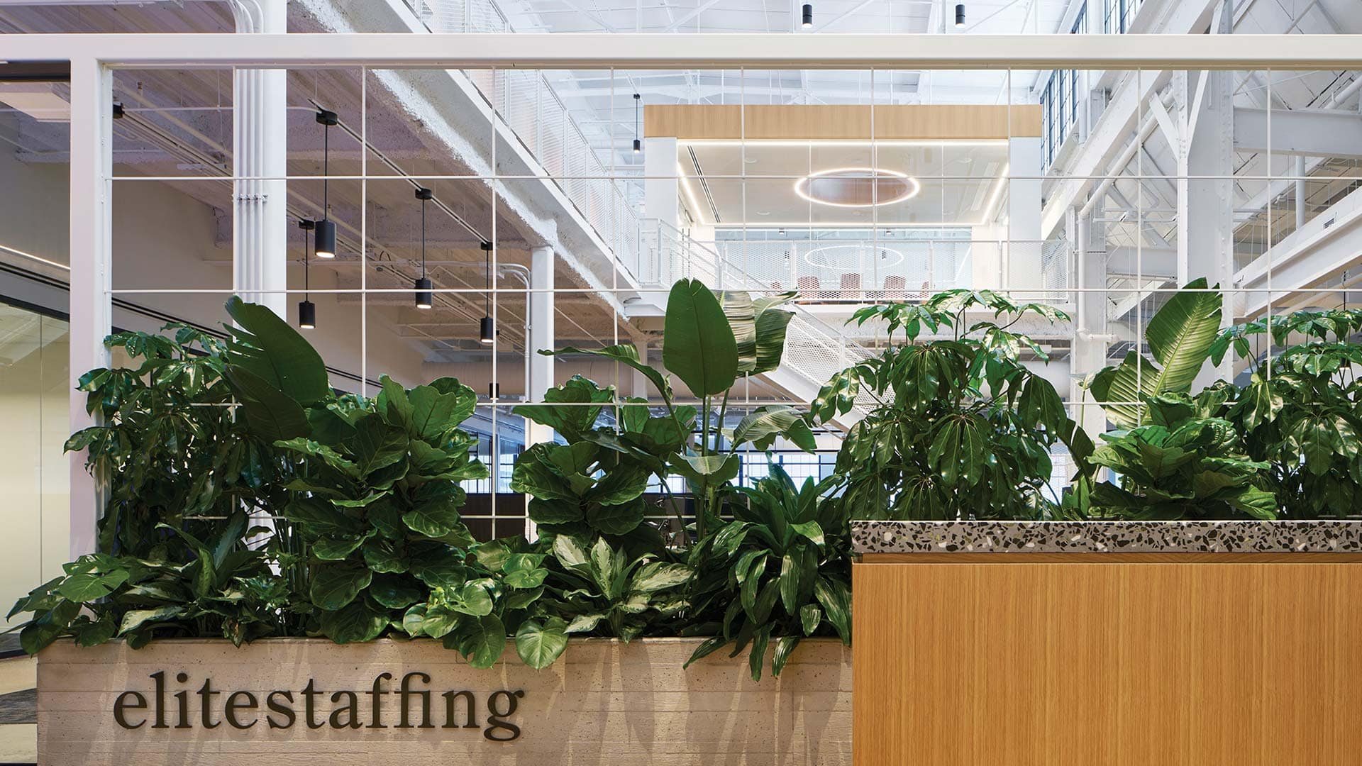 photo-gallery-commercial-office-elite-staffing-006