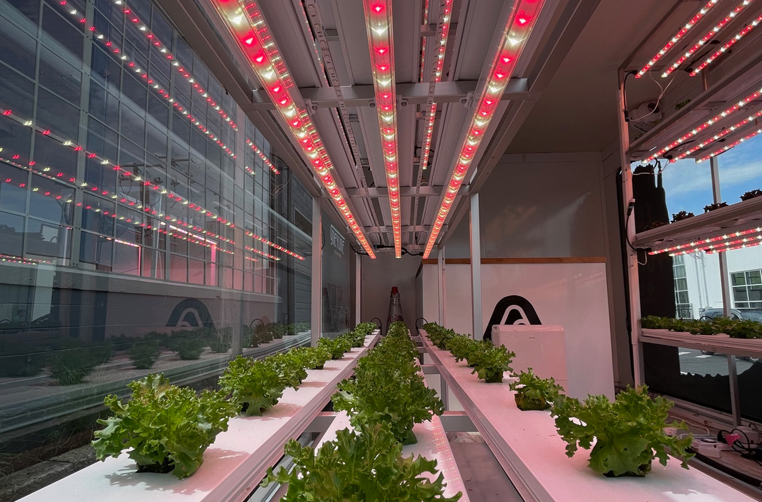 Vertical-Farming